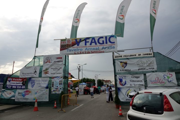 fagic 1